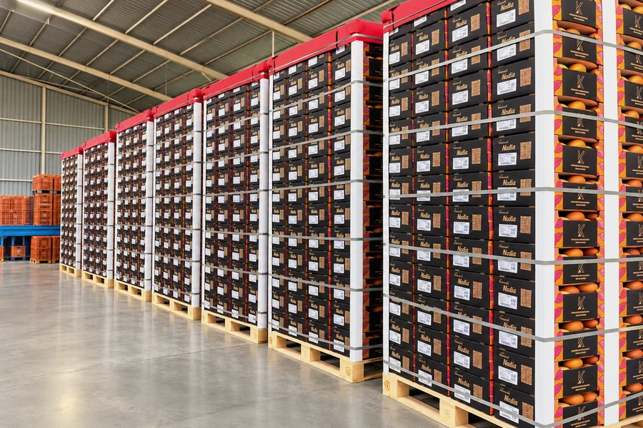 Pallets of citrus cartons