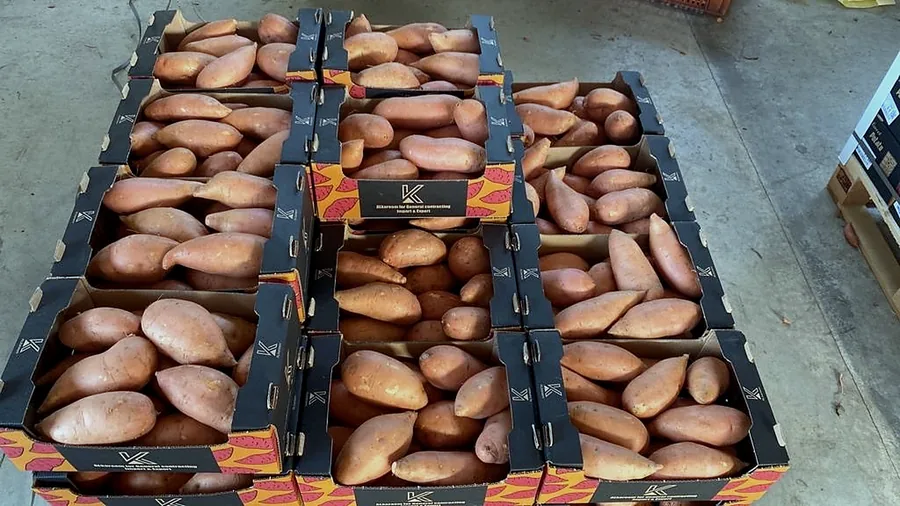AL KAREEM Sweet Potatoes